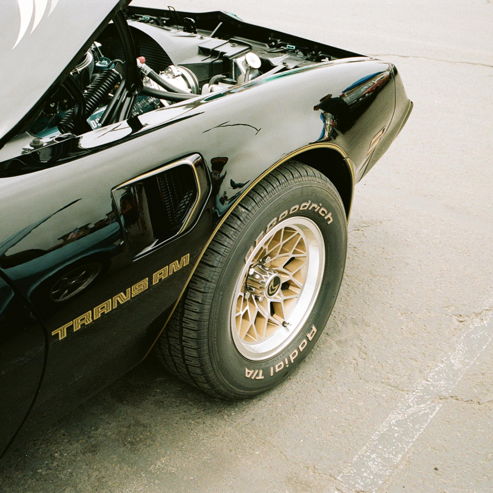 front part of an muscle car showing its tire and front fender