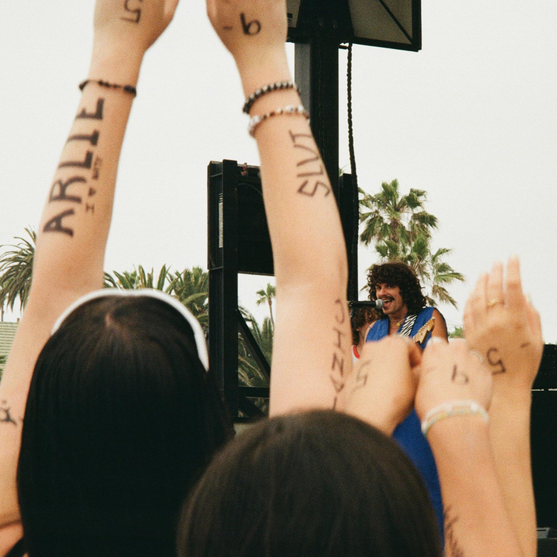 cheering crowd at a concert with a musician on stage in the background