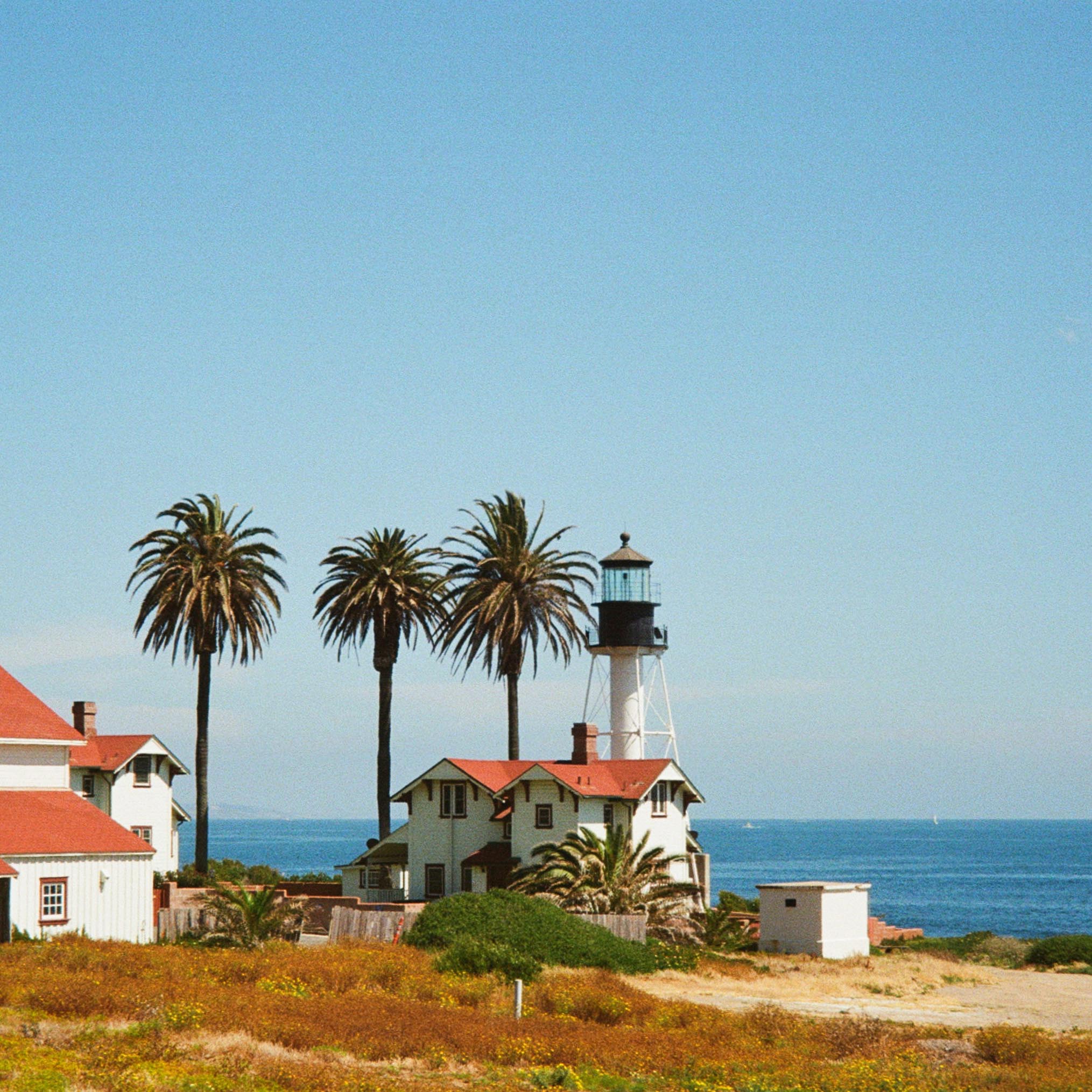 lighthouse with palms next to it and the ocean in the background