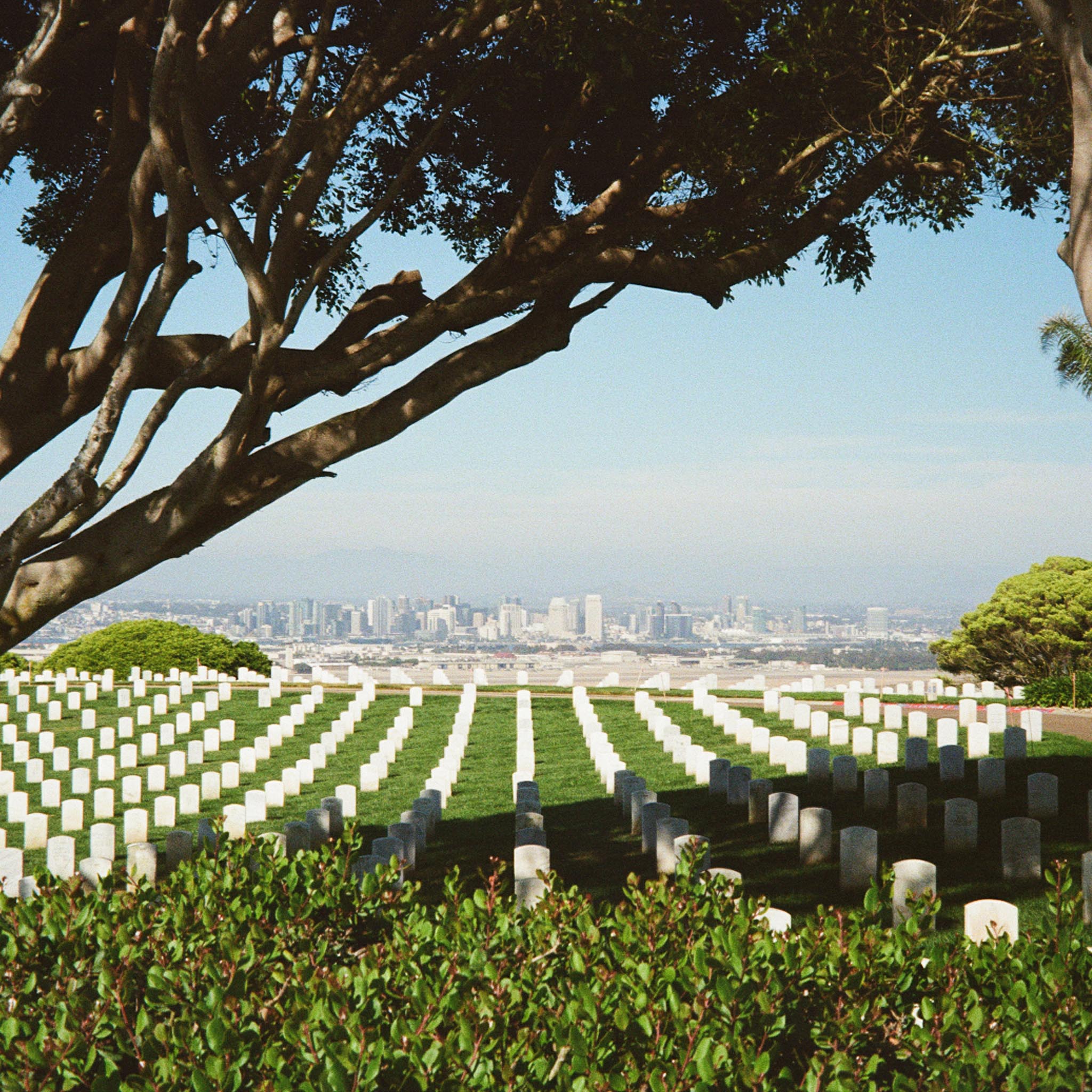military cemetery with the city of San Diego in the background