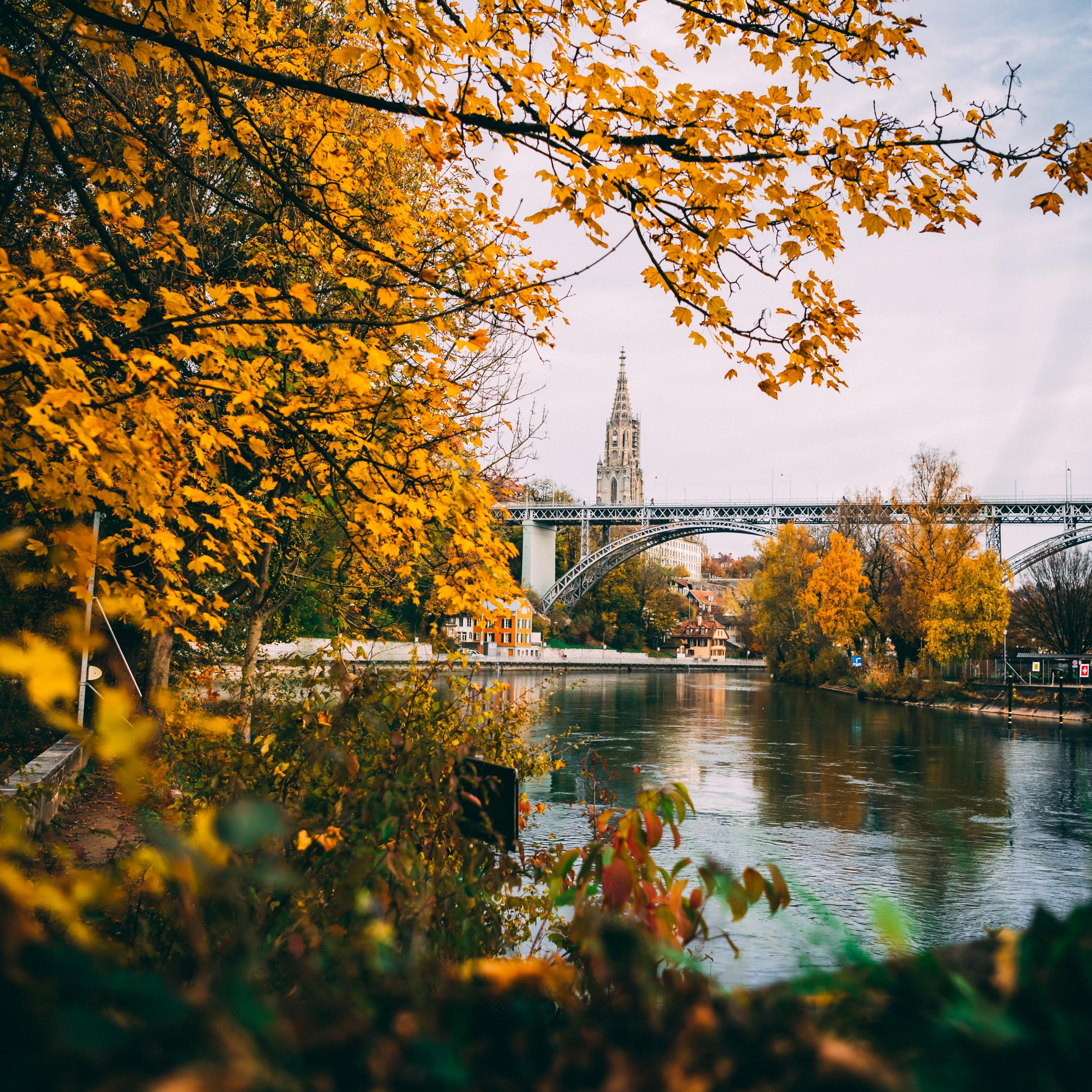 river with a bridge and trees in fall colors