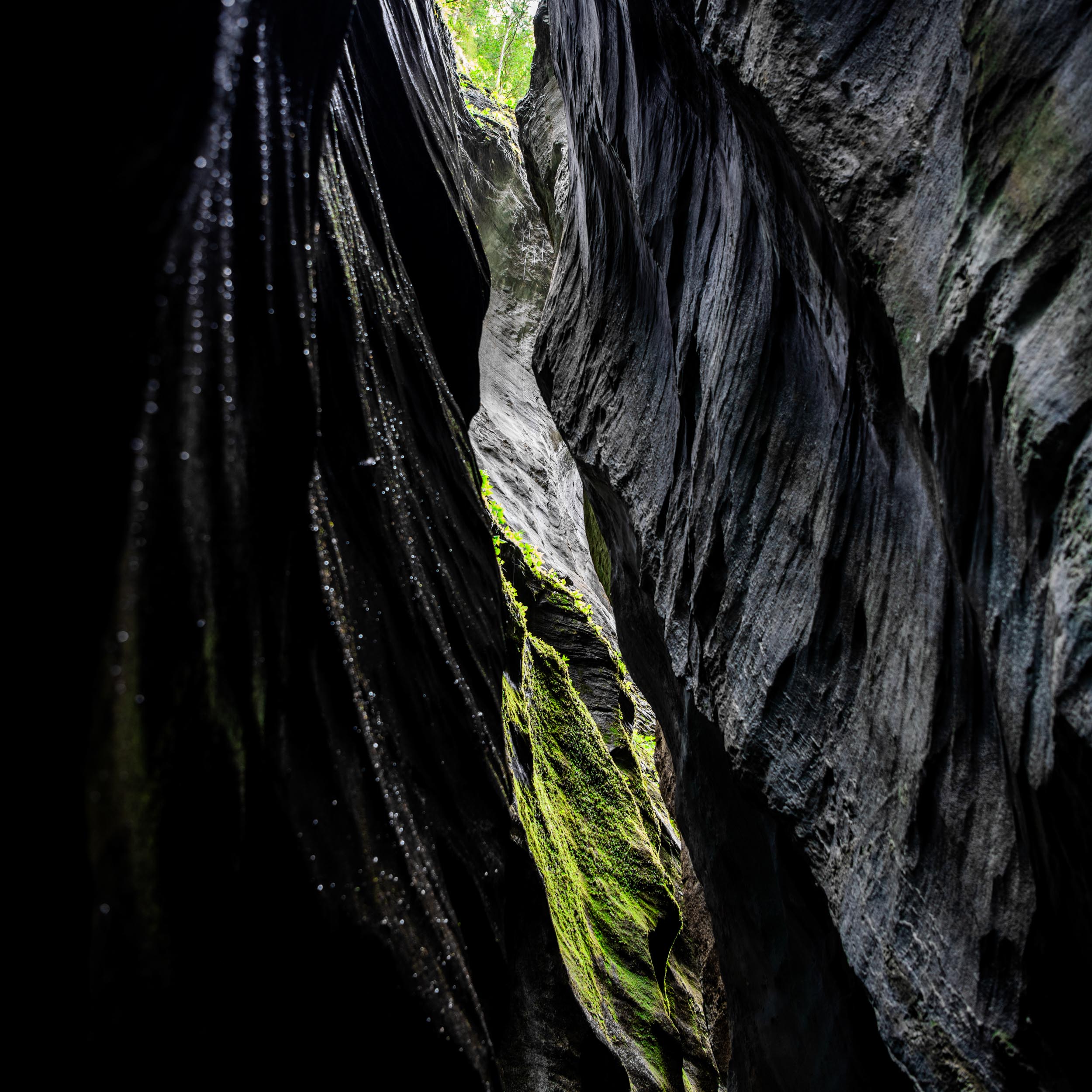 canyon overgrown with moss where light shines from above