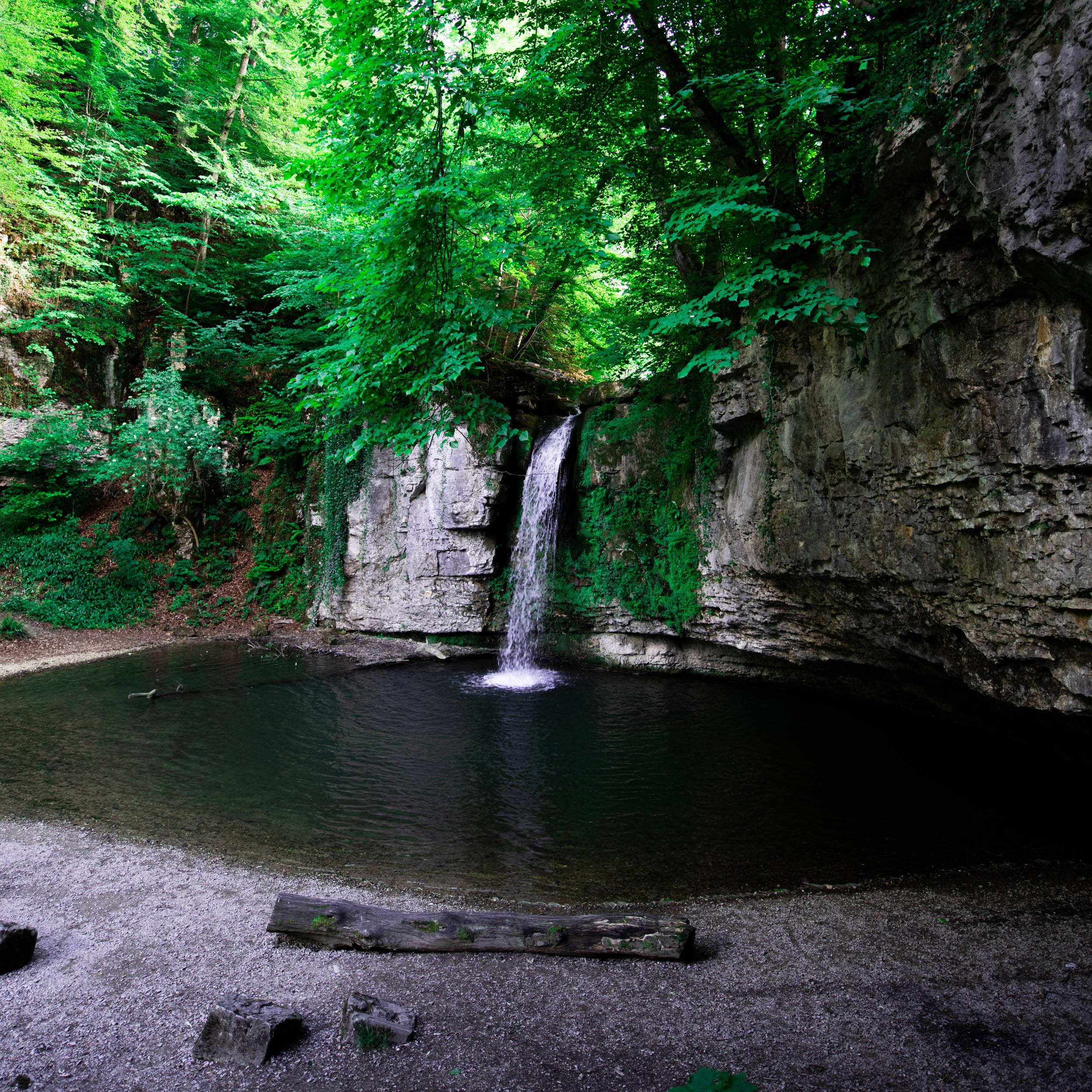 waterfall in the clearing of a forest