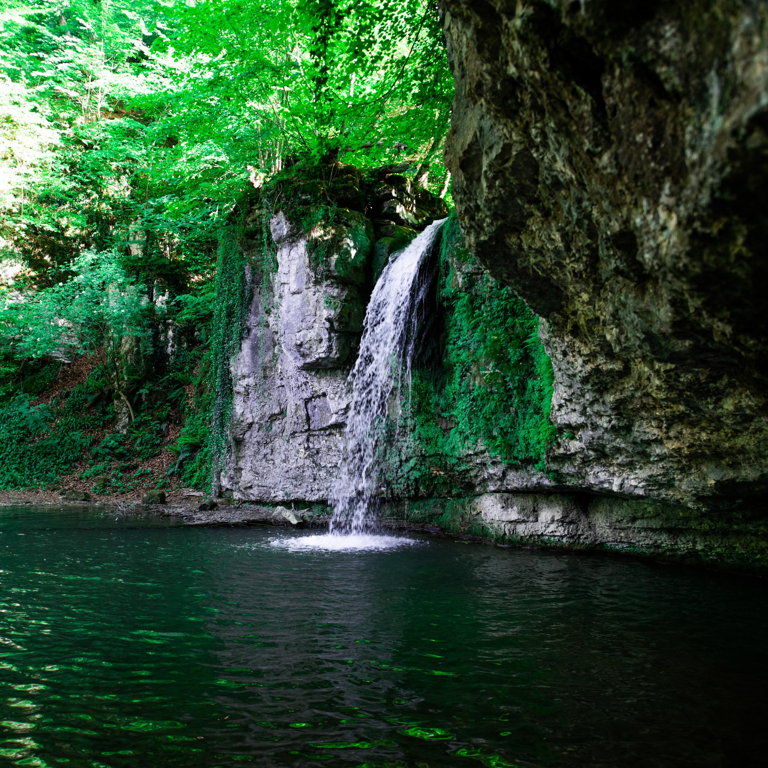 waterfall running over a large rock ledge in the clearing of a forest