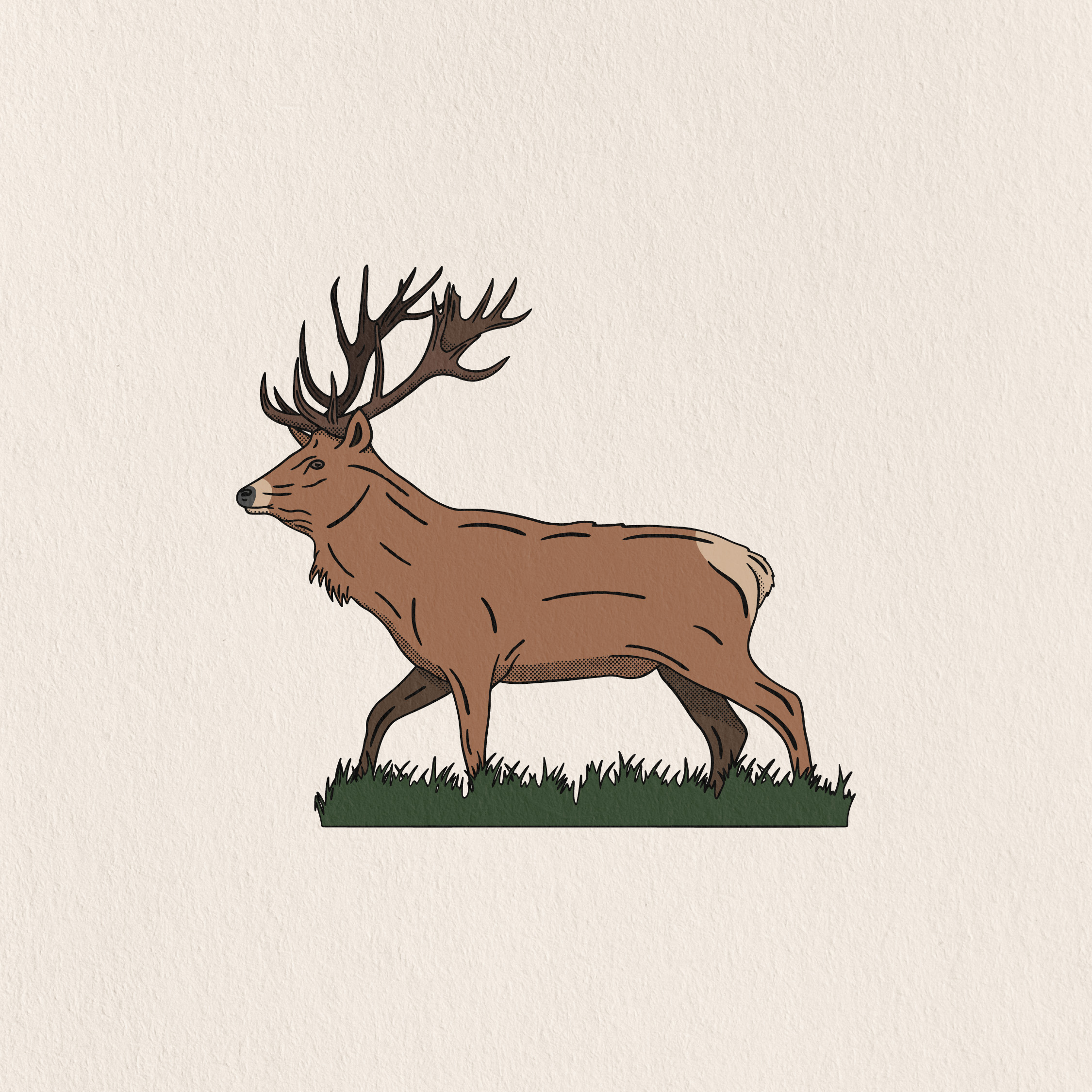 deer walking through a field